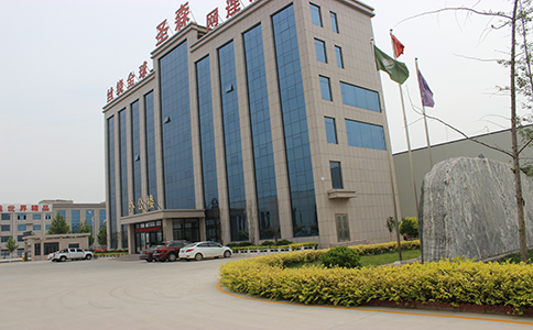 IMG_8381.jpg IMG_8381.jpg