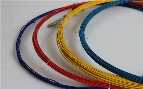 IMG_8656.jpg IMG_8656.jpg