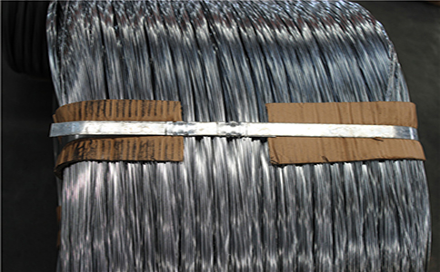 IMG_9026.jpg IMG_9026.jpg