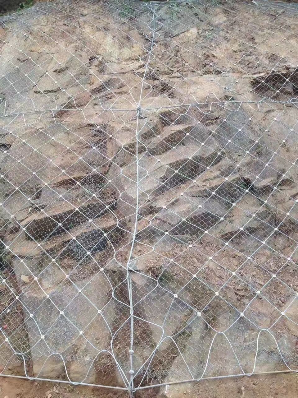 3fae30a1dd5c9e9c3dee437c3c2b8c9.jpg 3fae30a1dd5c9e9c3dee437c3c2b8c9.jpg